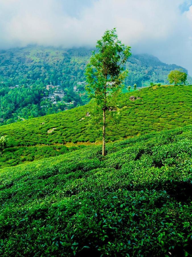 Tea & Sky Munnar Apartment Exterior photo